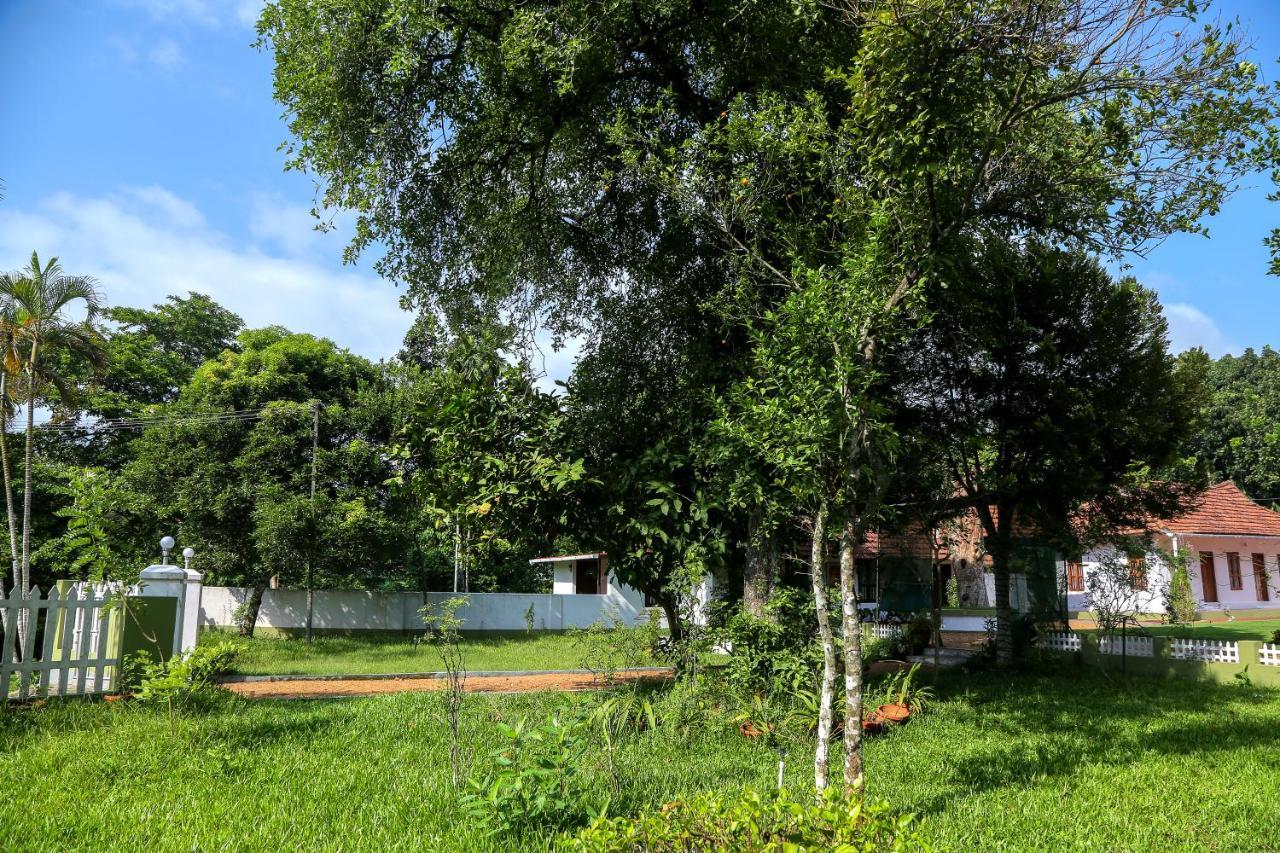 Akkara Homestay & Ayurveda Kottayam Exterior foto